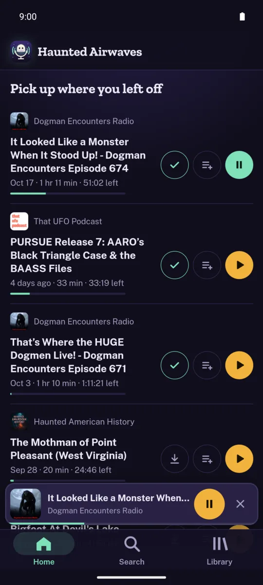 The Home screen: pick up where you left off, with your progress in each episode
